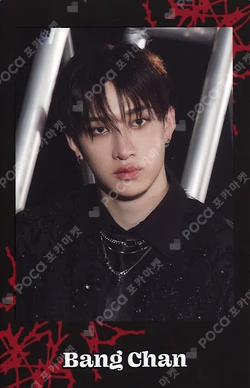 Stray Kids World Tour dominATE JAPAN Photo card Set