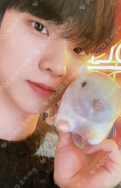 THE BOYZ POP-UP STORE THE AZIT TRADING CARD