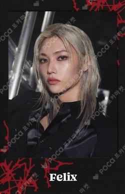 Stray Kids World Tour dominATE JAPAN Photo card Set FELIX photocard image