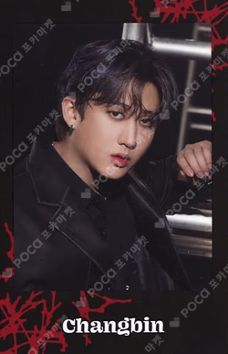 Stray Kids World Tour dominATE JAPAN Photo card Set