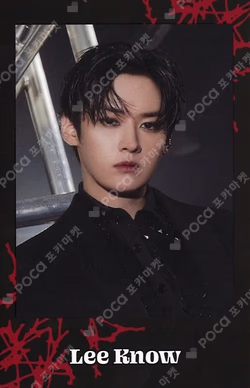 Stray Kids World Tour dominATE JAPAN Photo card Set