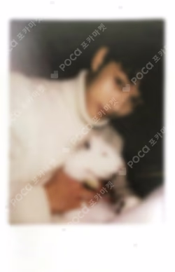 CARAT 1st Fan Meeting SEVENTEEN IN CARAT LAND Photo Card Set