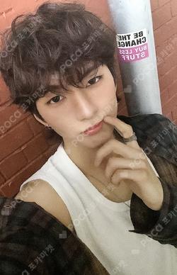 LIVE and FALL LIVE ver. O.de photocard image