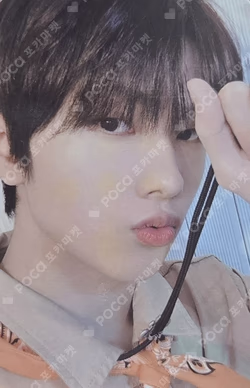 NCT ZONE COUPON CARD EXPLORER ver.