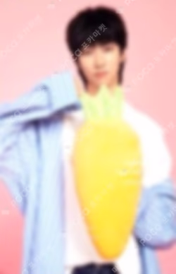 2018 SEVENTEEN CONCERT IDEAL CUT IN JAPAN TRADING CARD