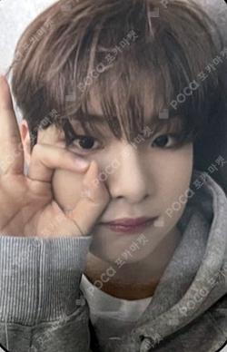 빛 : BIT Part.1 KTOWN4U SION photocard image