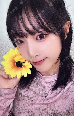 네모네모 APPLEMUSIC