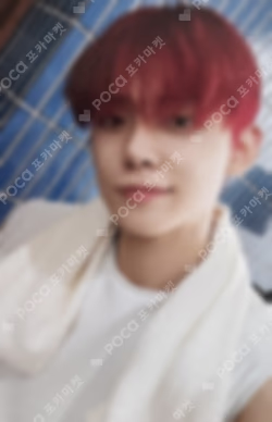 The Star Chapter: SANCTUARY Weverse Albums ver.