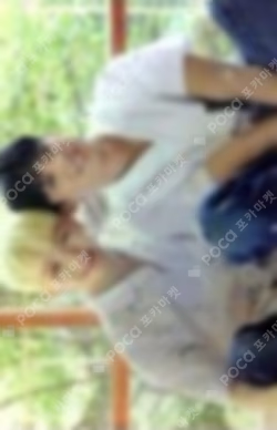 DIAMOND EDGE in JAPAN TRADING CARD