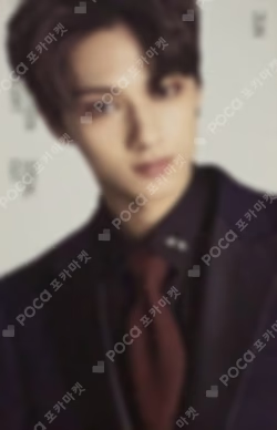 2018 SEVENTEEN CONCERT IDEAL CUT IN SEOUL TRADING CARD