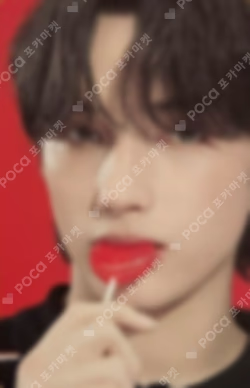 The Star Chapter: SANCTUARY LOVER Ver.