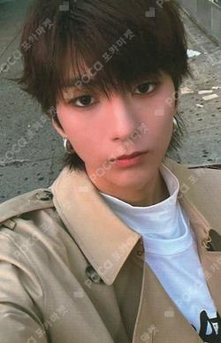 LIVE and FALL MUSICPLANT O.de photocard image