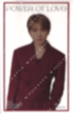 SEVENTEEN CONCERT POWER OF LOVE INSTANT PHOTO CARD SET