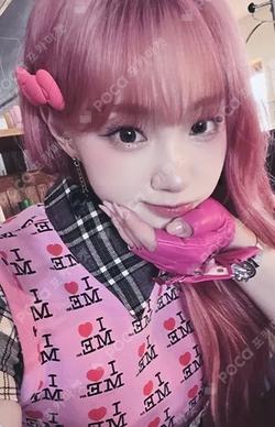 TIPI-TAP DEAR MY MUSE CHAEHYUN photocard image