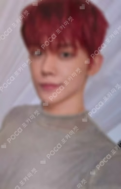 The Star Chapter: SANCTUARY Weverse Albums ver.