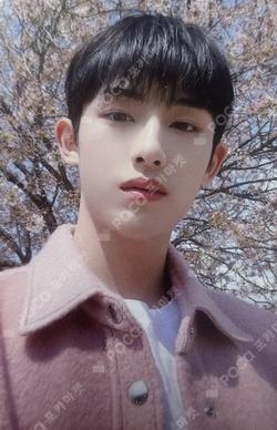 島遇 YIZHIYU WINWIN photocard image