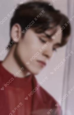 SEVENTEEN CONCERT POWER OF LOVE MINI LUGGAGE BAG