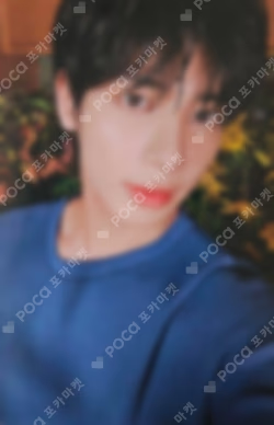 The Star Chapter: SANCTUARY Weverse Albums ver.