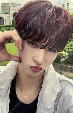 ONE QUESTION DEAR MY MUSE