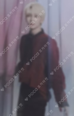 SEVENTEEN CONCERT POWER OF LOVE TRADING CARD