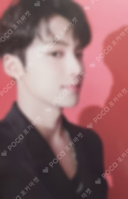 SEVENTEEN CONCERT POWER OF LOVE TRADING CARD