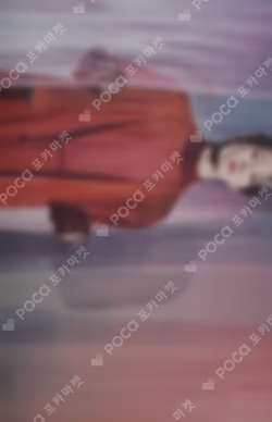 SEVENTEEN CONCERT POWER OF LOVE TRADING CARD