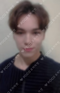 SEVENTEEN WORLD TOUR ODE TO YOU IN SEOUL CARAT ZONE