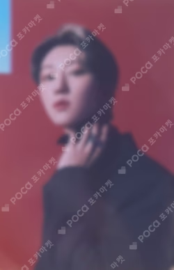 SEVENTEEN CONCERT POWER OF LOVE TRADING CARD