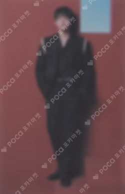 SEVENTEEN CONCERT POWER OF LOVE TRADING CARD