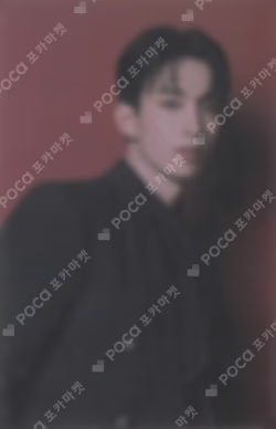 SEVENTEEN CONCERT POWER OF LOVE TRADING CARD