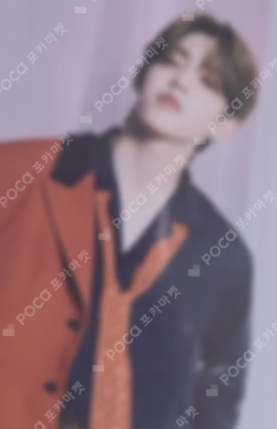SEVENTEEN CONCERT POWER OF LOVE TRADING CARD