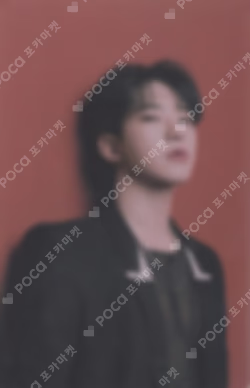 SEVENTEEN CONCERT POWER OF LOVE TRADING CARD