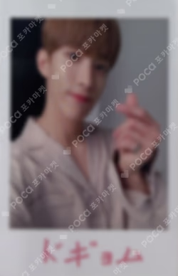 SEVENTEEN WORLD TOUR ODE TO YOU IN JAPAN TRADING CARD