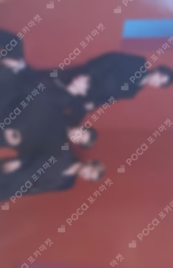 SEVENTEEN CONCERT POWER OF LOVE TRADING CARD