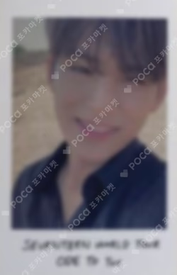 SEVENTEEN WORLD TOUR ODE TO YOU POLAROID PHOTO CARD SET
