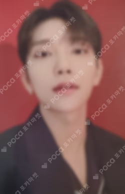 SEVENTEEN CONCERT POWER OF LOVE TRADING CARD