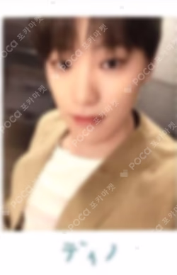 SEVENTEEN WORLD TOUR ODE TO YOU IN JAPAN TRADING CARD
