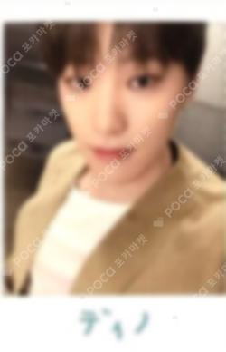 SEVENTEEN WORLD TOUR ODE TO YOU IN JAPAN TRADING CARD DINO photocard image
