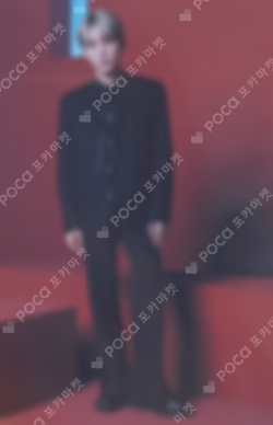 SEVENTEEN CONCERT POWER OF LOVE TRADING CARD