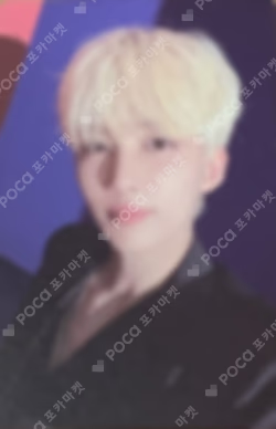 SEVENTEEN CONCERT POWER OF LOVE TRADING CARD
