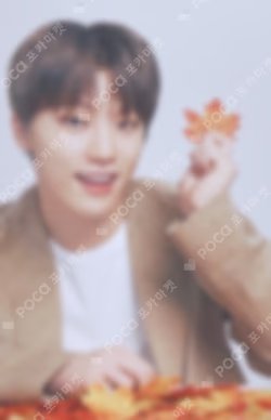 SEVENTEEN WORLD TOUR ODE TO YOU IN JAPAN TRADING CARD