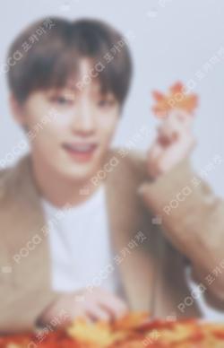 SEVENTEEN WORLD TOUR ODE TO YOU IN JAPAN TRADING CARD DINO photocard image