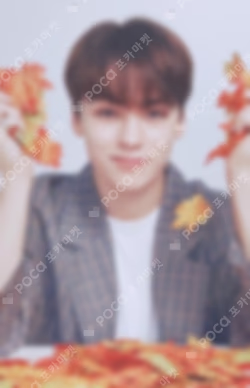 SEVENTEEN WORLD TOUR ODE TO YOU IN JAPAN TRADING CARD