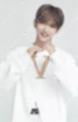 SEVENTEEN WORLD TOUR ODE TO YOU IN JAPAN TRADING CARD