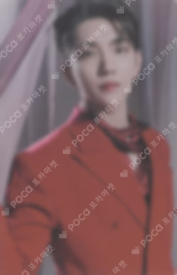 SEVENTEEN CONCERT POWER OF LOVE TRADING CARD