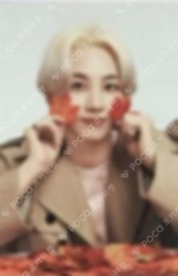 SEVENTEEN WORLD TOUR ODE TO YOU IN JAPAN TRADING CARD JEONGHAN photocard image
