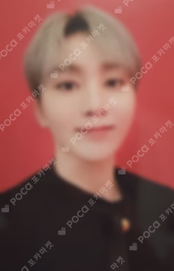 SEVENTEEN CONCERT POWER OF LOVE TRADING CARD