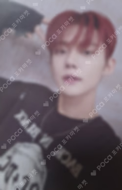 The Star Chapter: SANCTUARY WEVERSE LUCKY DRAW