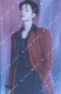 SEVENTEEN CONCERT POWER OF LOVE TRADING CARD