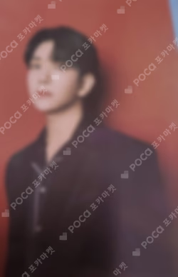 SEVENTEEN CONCERT POWER OF LOVE TRADING CARD